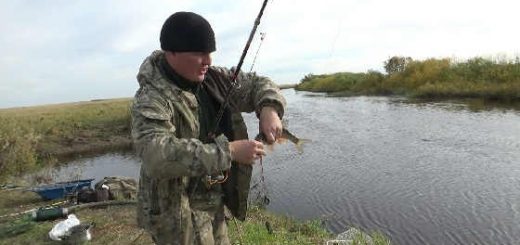 Первая рыбалка по жидкой воде