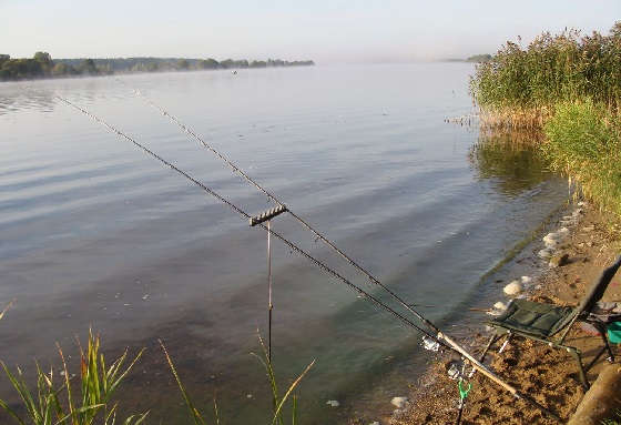 Астраханская фидерная рыбалка
