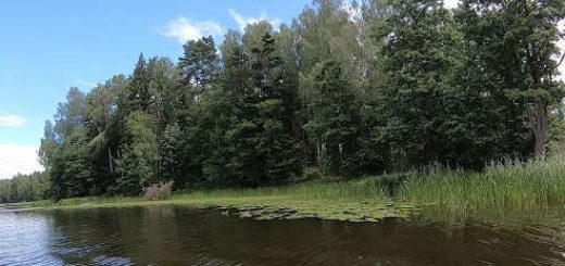 С самоловками и ружьём на карельские ламбины