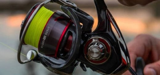 спиннинг Daiwa Fuego 2021