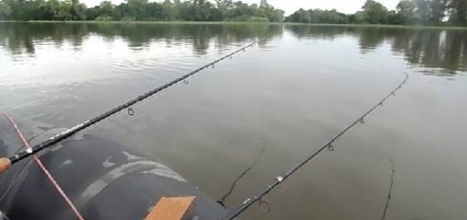 ЛОВЛЯ ФОРЕЛИ НА КОММЕРЧЕСКИХ ВОДОЕМАХ