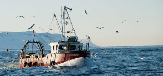 Рыбалка в Баренцевом море